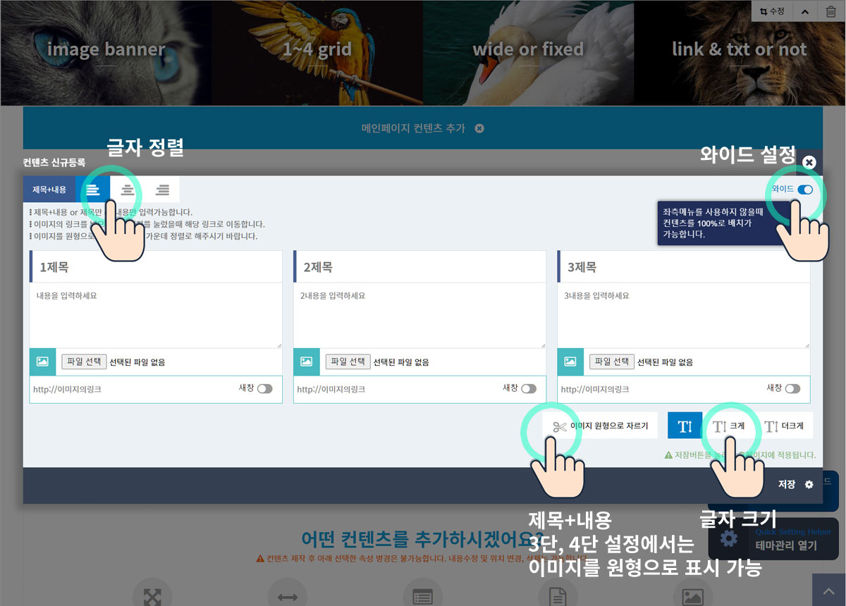 메인컨텐츠 설정